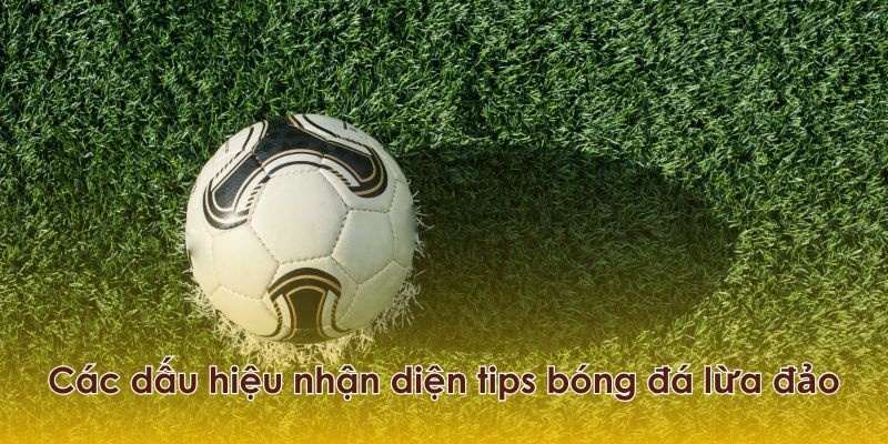 Những cách nhận diện tips bóng đá lừa đảo 