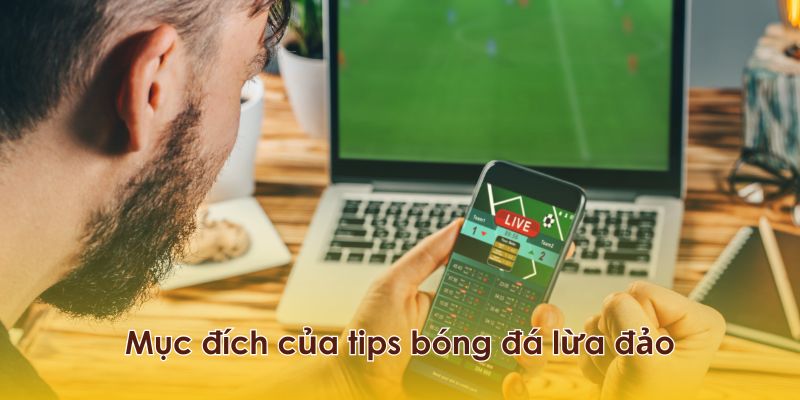 Mục đích của việc chia sẻ các tips bóng đá lừa đảo 