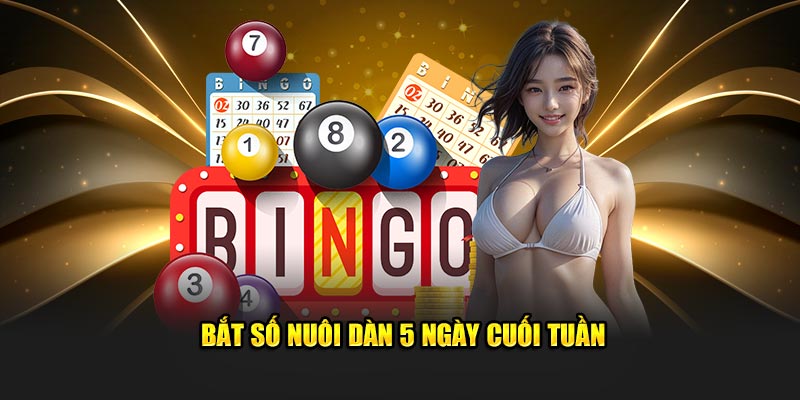 Bắt số nuôi dàn 5 ngày cuối tuần