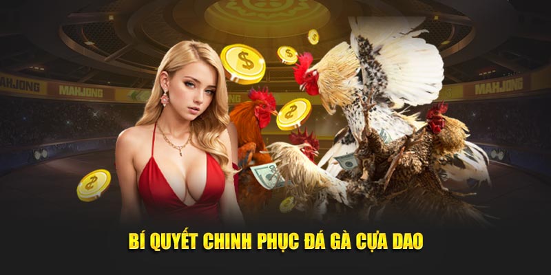 Bí quyết chinh phục bộ môn đá gà cựa dao