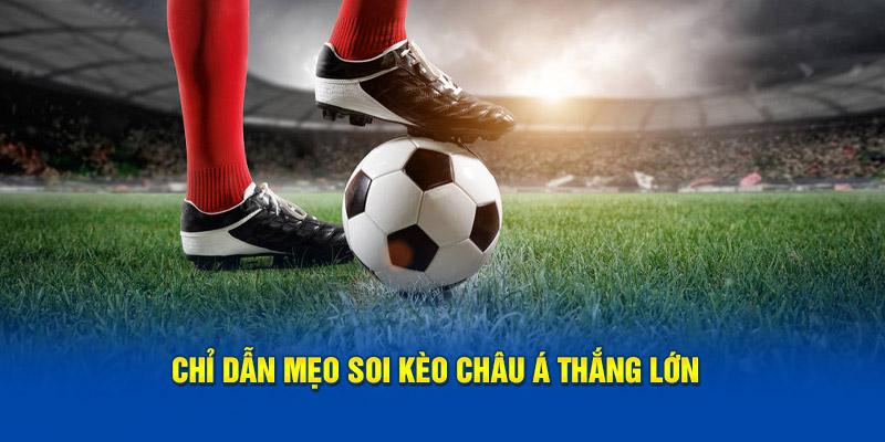 Cách soi kèo châu Á chuẩn chỉ cho dân chơi