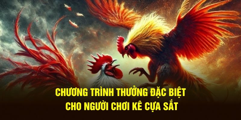 Chương trình thưởng đặc biệt cho người chơi kê cựa sắt