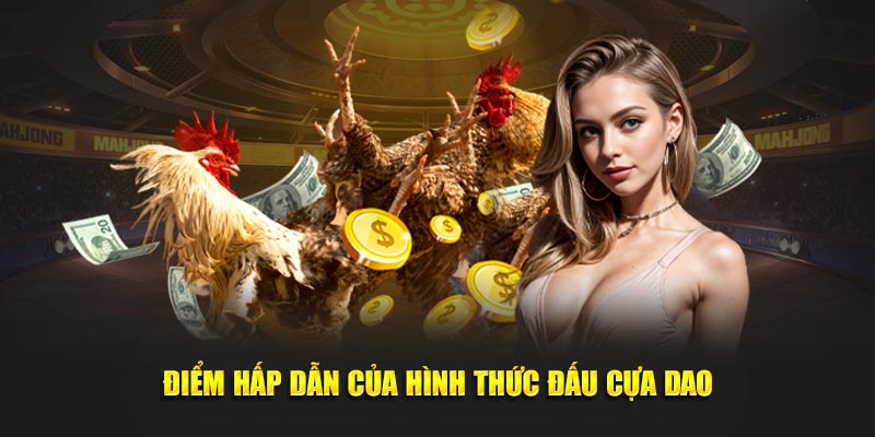 Điểm hấp dẫn của hình thức đấu cựa dao