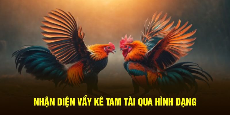 Nhận diện vẩy kê tam tài qua hình dạng