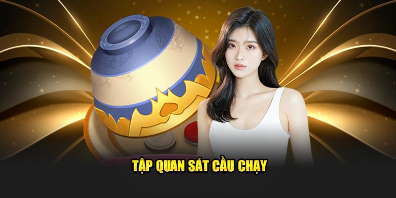 Tập quan sát cầu chạy