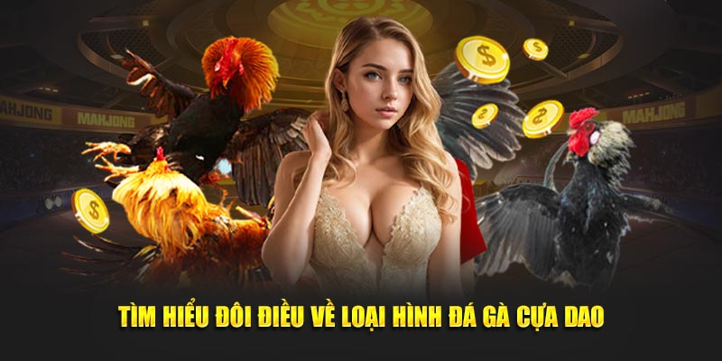 Tìm hiểu đôi điều về loại hình đá gà cựa dao